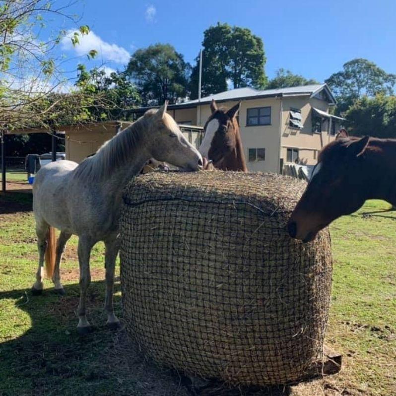 5x4 Round Bale Slow Feed Hay Net - Aussie Grazers