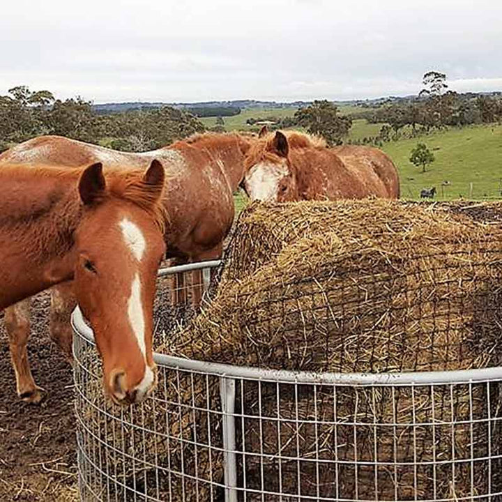 Aussie Grazers Round Bale Nets Original Knotted 5x4 Round Bale Horse Slow Feed Hay Net