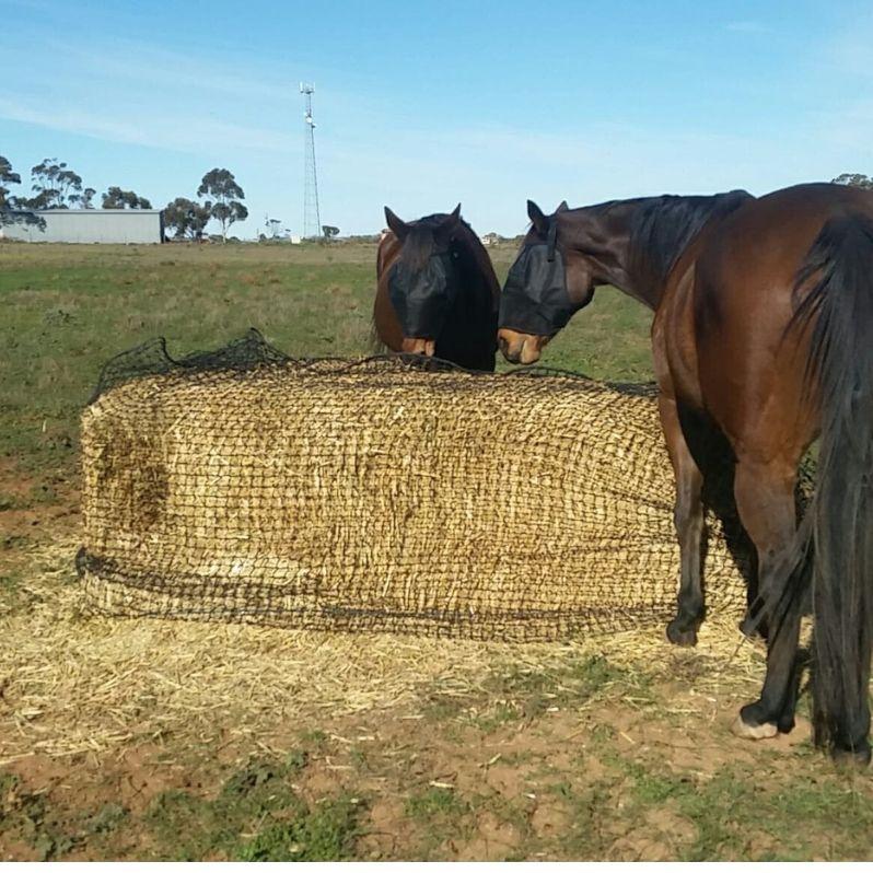 8x4x4 Giant Square Bale Slow Feed Hay Net - Aussie Grazers